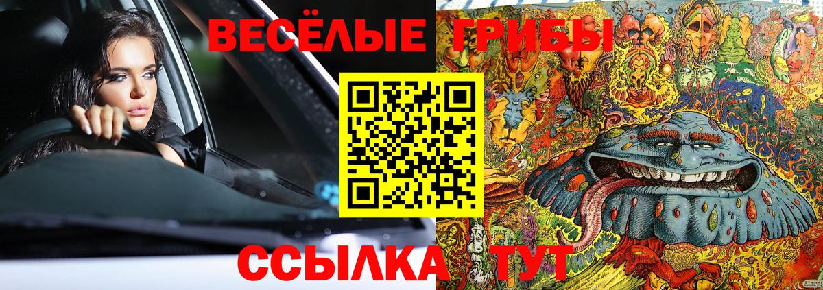 Кудымкар  Галлюциногенные грибы мицелий  Вход с VPN 