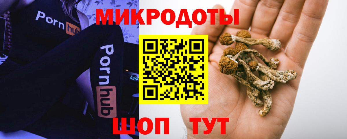 Галлюциногенные грибы ЛСД Кудымкар